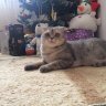 Nika_20_95